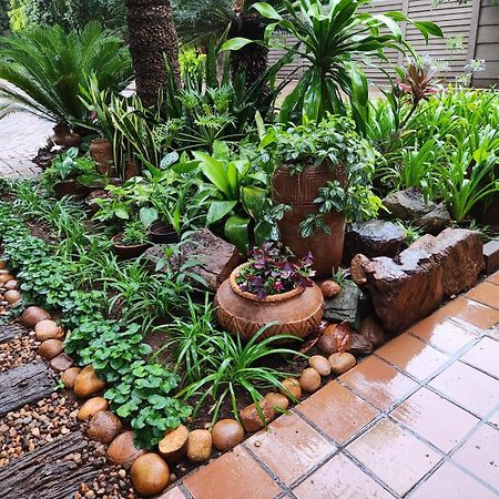 Tree Aloe Guest House Мокопане Екстериор снимка