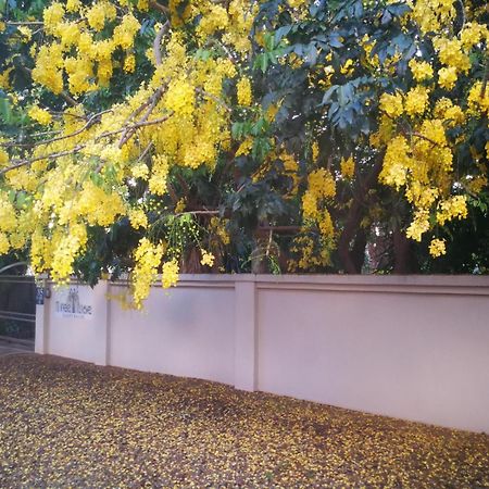 Tree Aloe Guest House Мокопане Екстериор снимка
